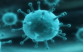 Как выбрать энтеросорбент при ротавирусной инфекции