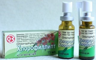 Хлорофиллипт от горла – спрей, раствор, как использовать?