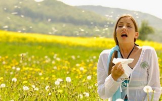 Сенная лихорадка, или сезонная аллергия. Как распознать и начать лечение?