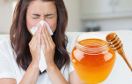 Лечение насморка медом безопасные рецепты для детей и взрослых