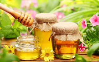 Мед при гайморите: эффективные рецепты для лечения опасной патологии