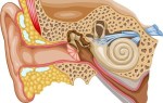 Каковы причины шума и заложенности в ушах?