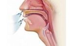 Как восстановить слизистую носа чем увлажнить носоглотку