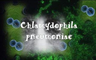 Хламидии пневмонии (chlamydia pneumoniae)