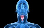 Чувство сдавленности (удушения) в горле: причины и лечение