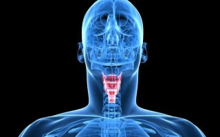 Чувство сдавленности (удушения) в горле: причины и лечение