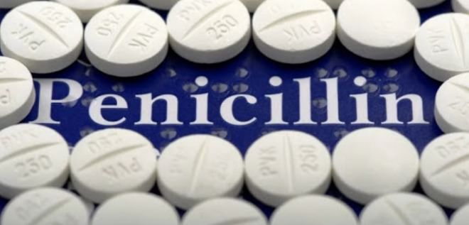 антибиотик пенициллин