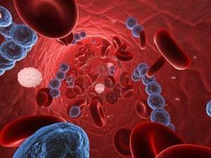Септитцемия - патологическое состояние, которое прогрессирует вследствие проникновения в кровеносное русло бактериальных агентов