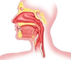 симптомы мокроты в горле