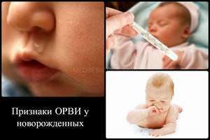 Лечение новороденного по Комаровскому