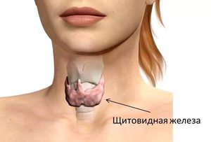 Увеличена щитовидная железа