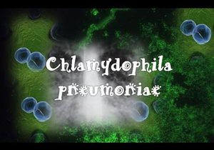 Микроорганизмы - причины пневмонии