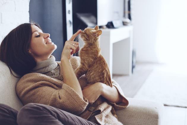 Кот с хозяйкой: аллергия как причина лор-заболеваний