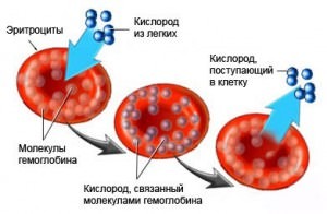 Низкий гемоглобин при месячных