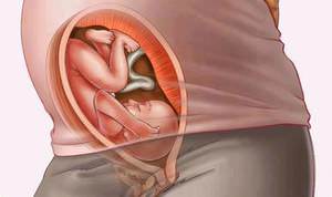 Можно ли лечиться Амоксиклавом в период беременности