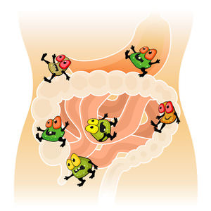 Микрофлора кишечника — микроорганизмы, которые живут в желудочно-кишечном тракте в симбиозе с носителем